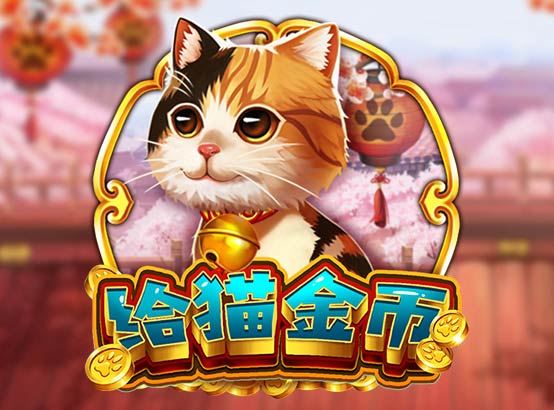 給貓金幣